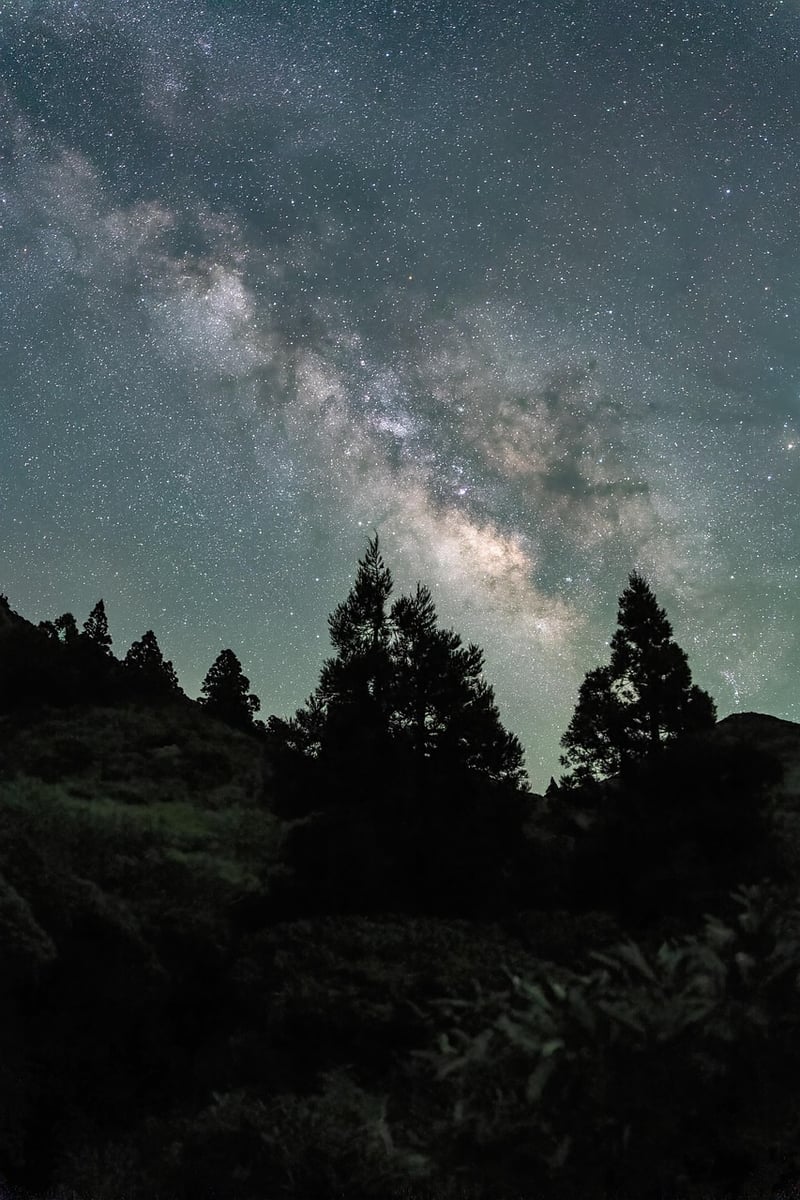 Milky Way Escapes